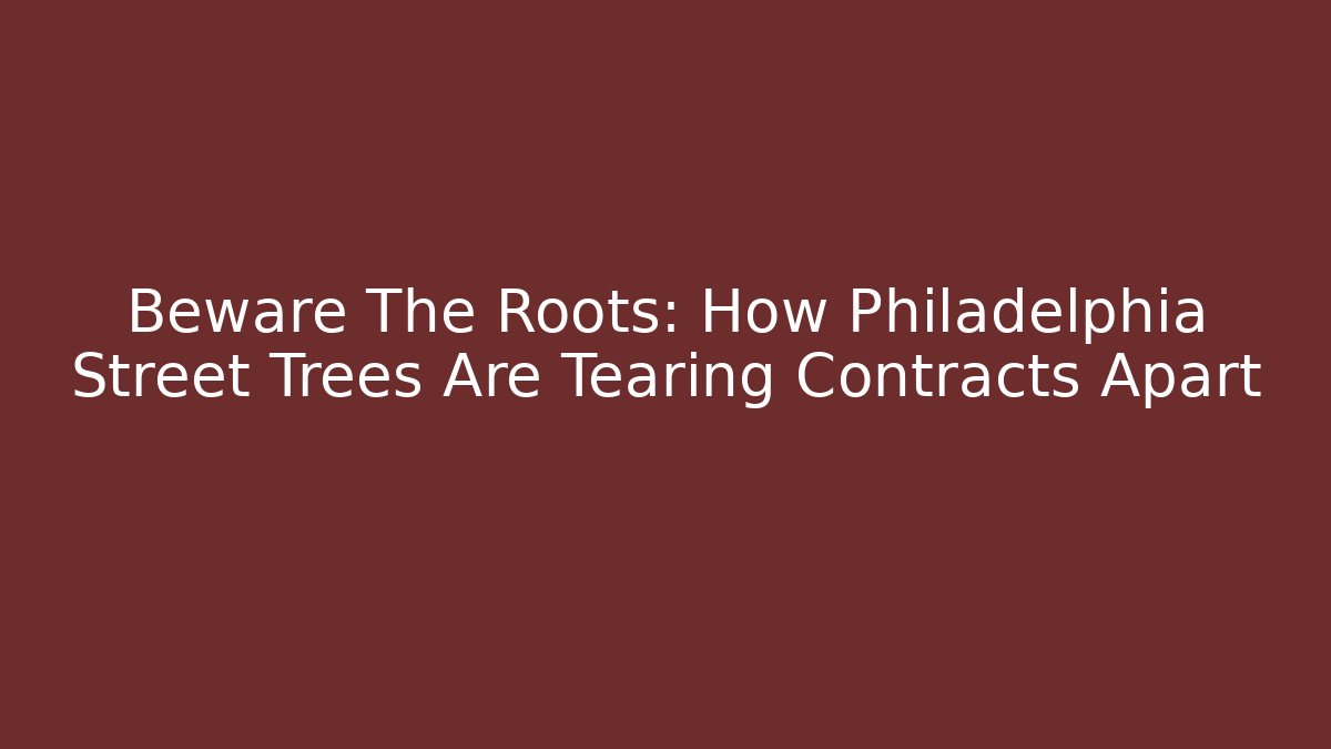 Beware The Roots: How Philadelphia Street Trees Are Tearing Contracts Apart