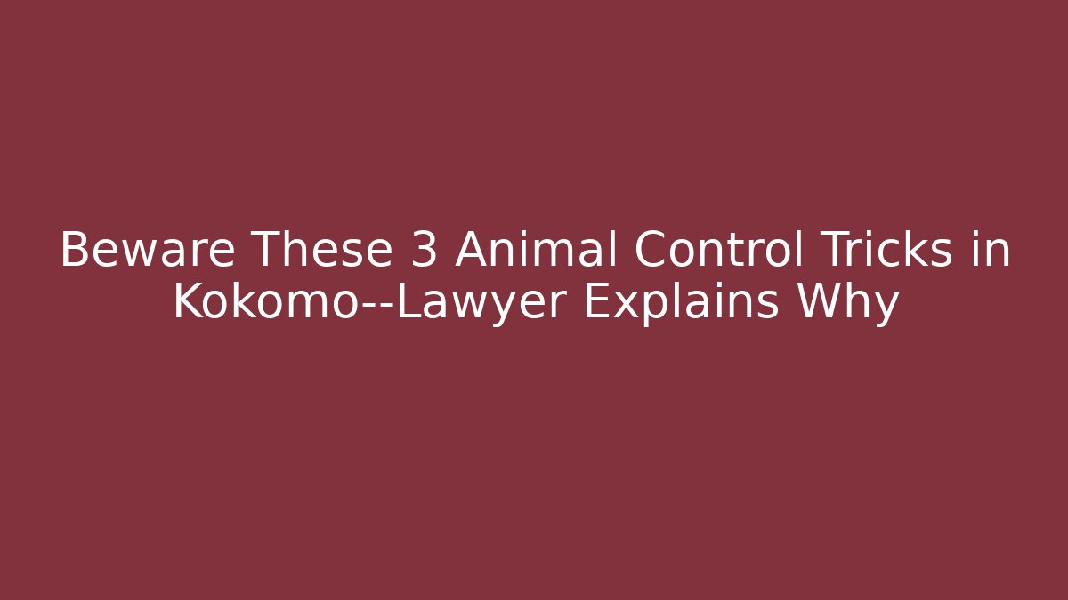 Beware These 3 Animal Control Tricks in Kokomo—Lawyer Explains Why