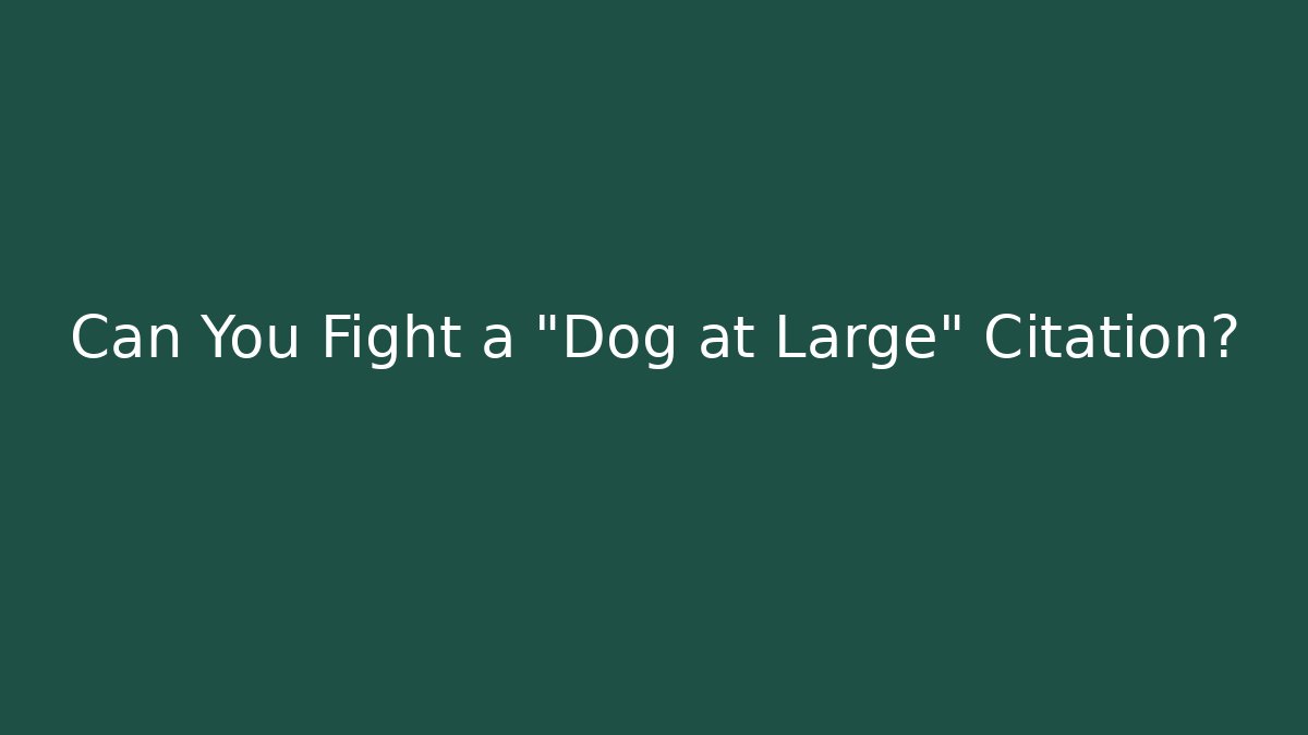 Can You Fight a "Dog at Large" Citation?