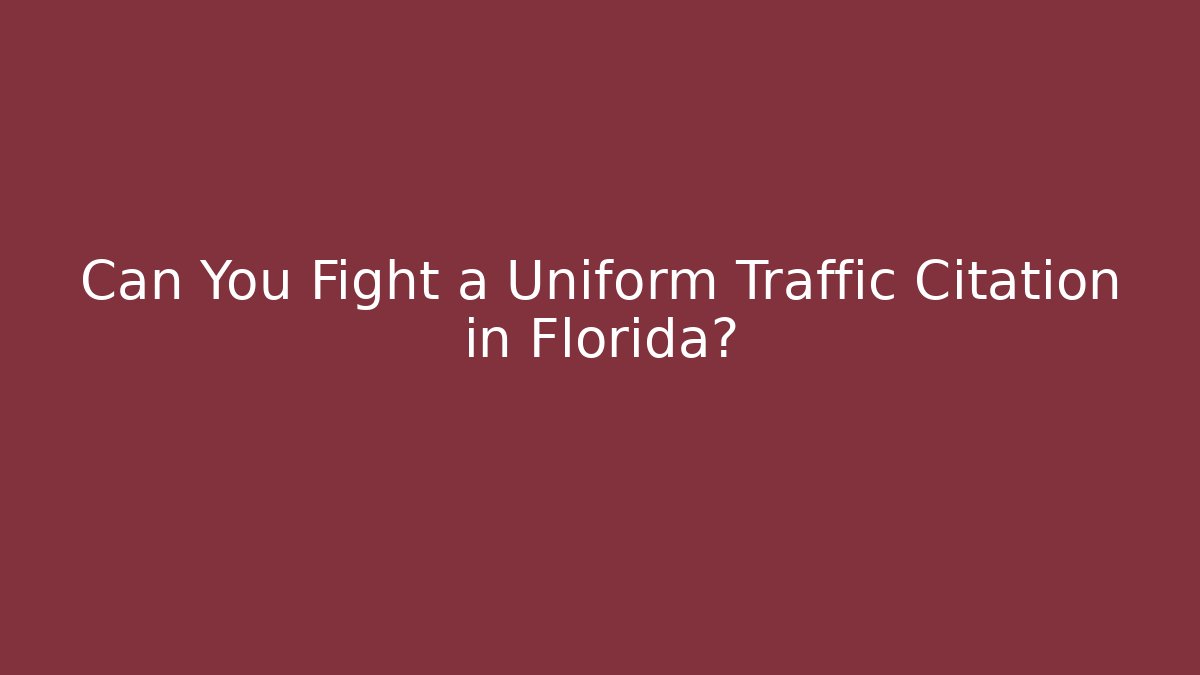 Can You Fight a Uniform Traffic Citation in Florida?