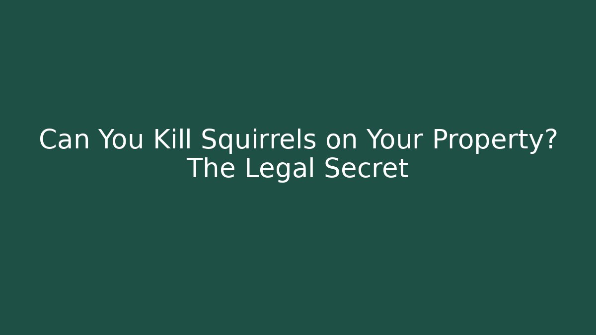 Can You Kill Squirrels on Your Property? The Legal Secret
