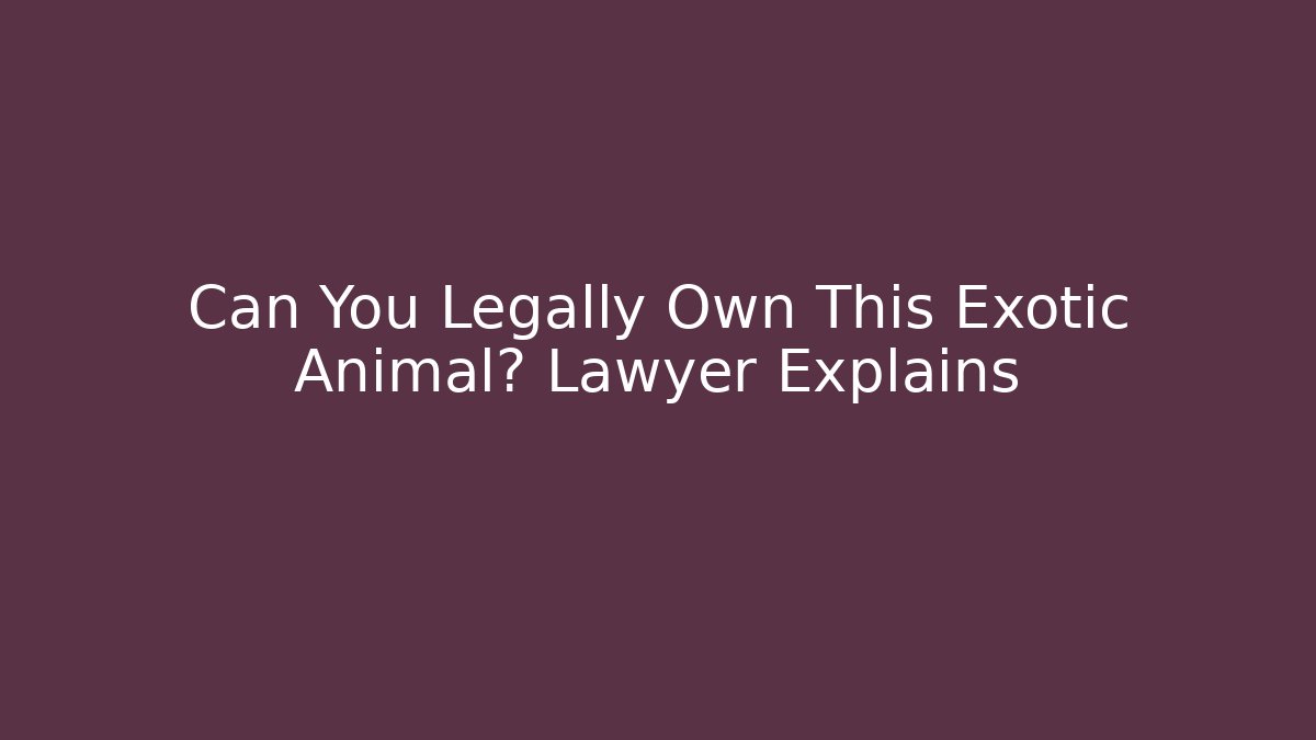 Can You Legally Own This Exotic Animal? Lawyer Explains
