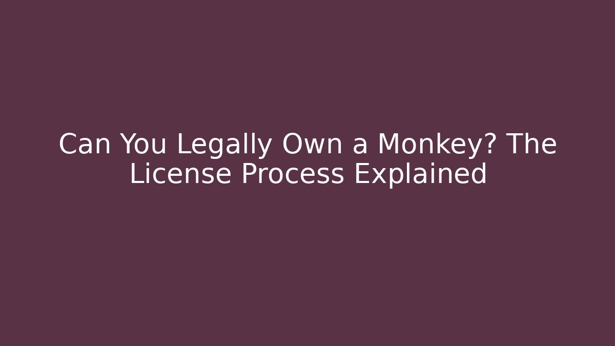 Can You Legally Own a Monkey? The License Process Explained - Magmic