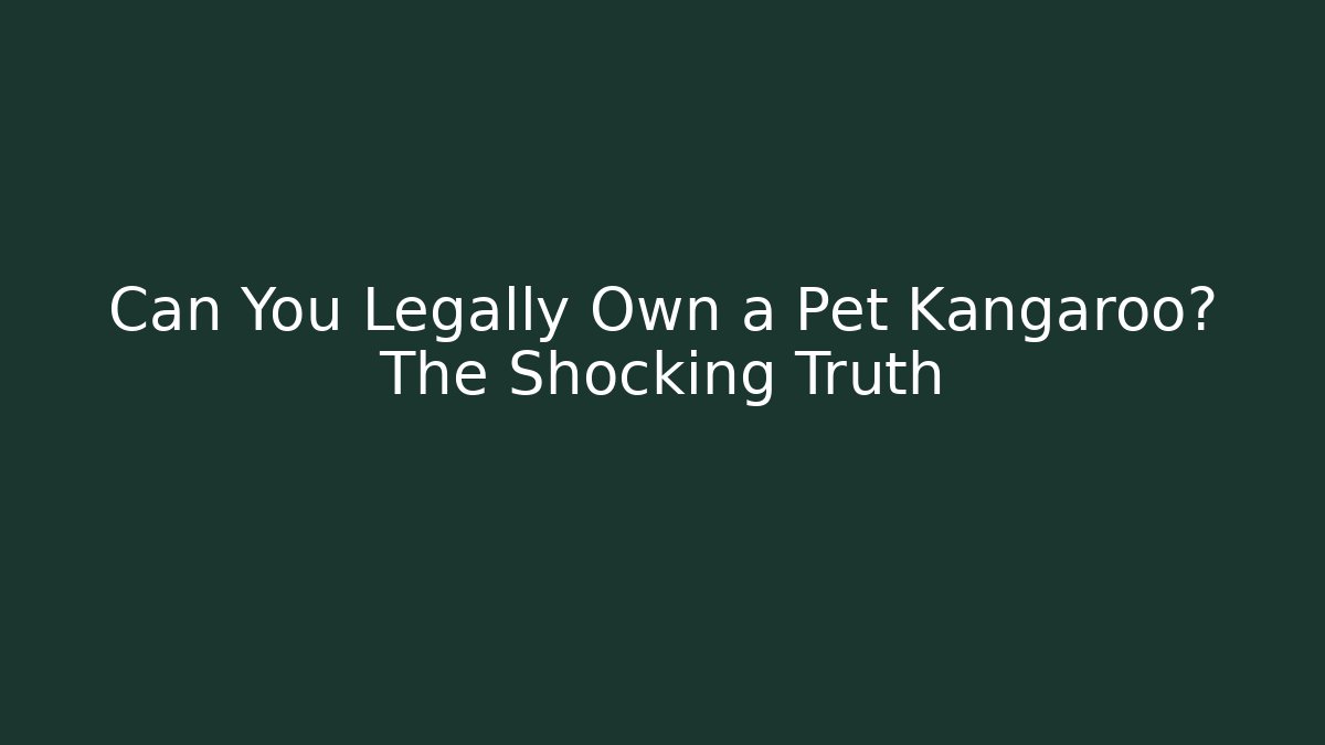 Can You Legally Own a Pet Kangaroo? The Shocking Truth
