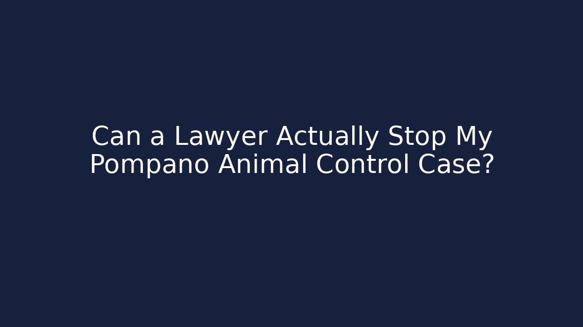 Can a Lawyer Actually Stop My Pompano Animal Control Case?