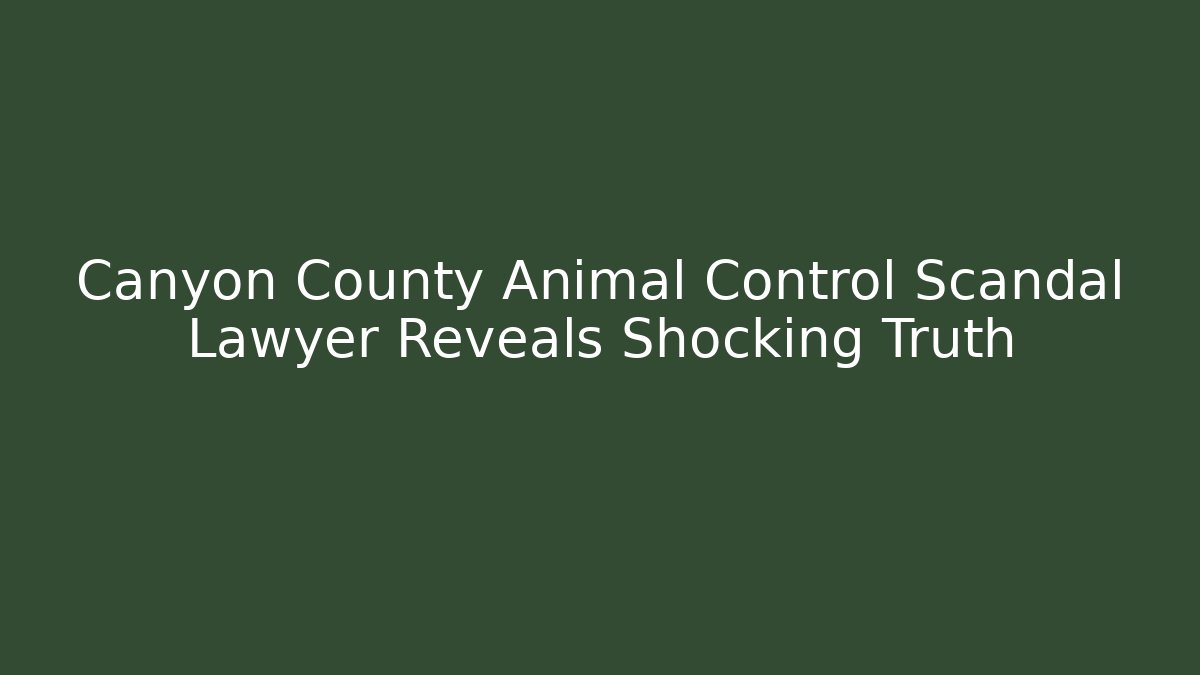 Canyon County Animal Control Scandal Lawyer Reveals Shocking Truth