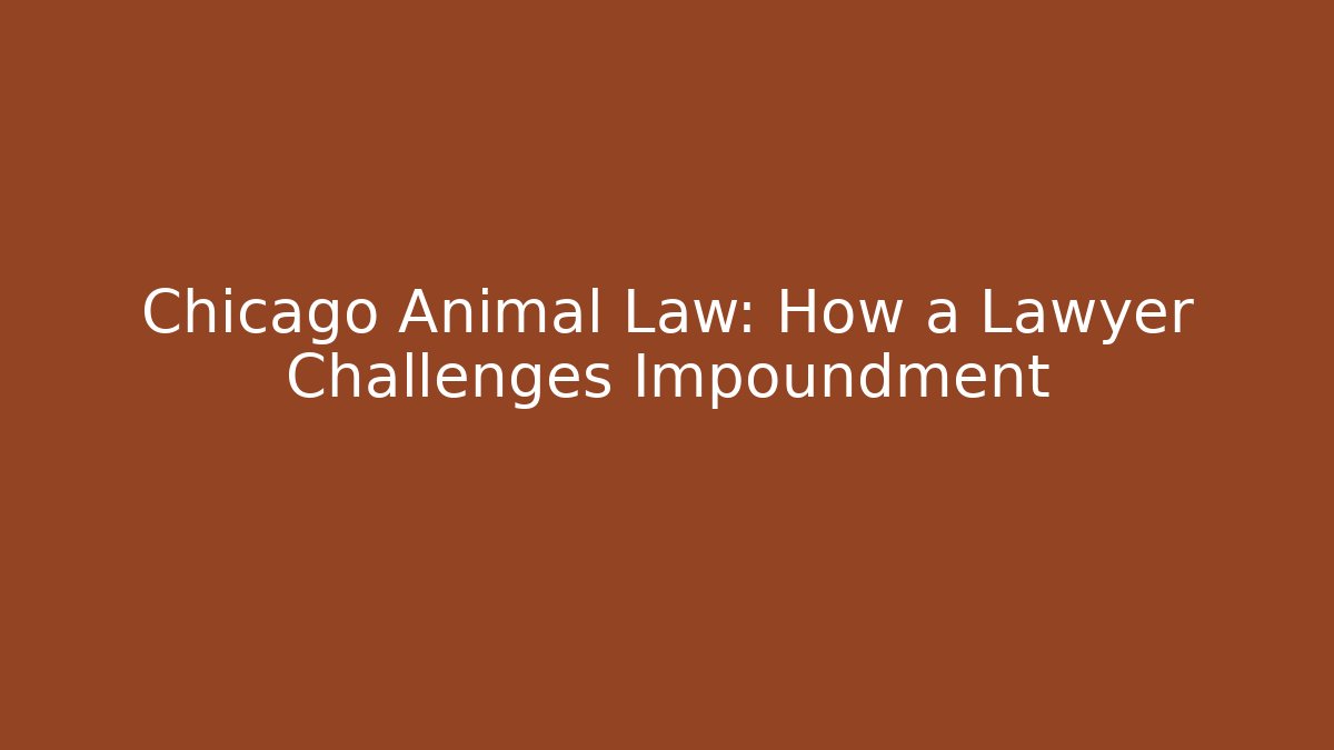 Chicago Animal Law: How a Lawyer Challenges Impoundment