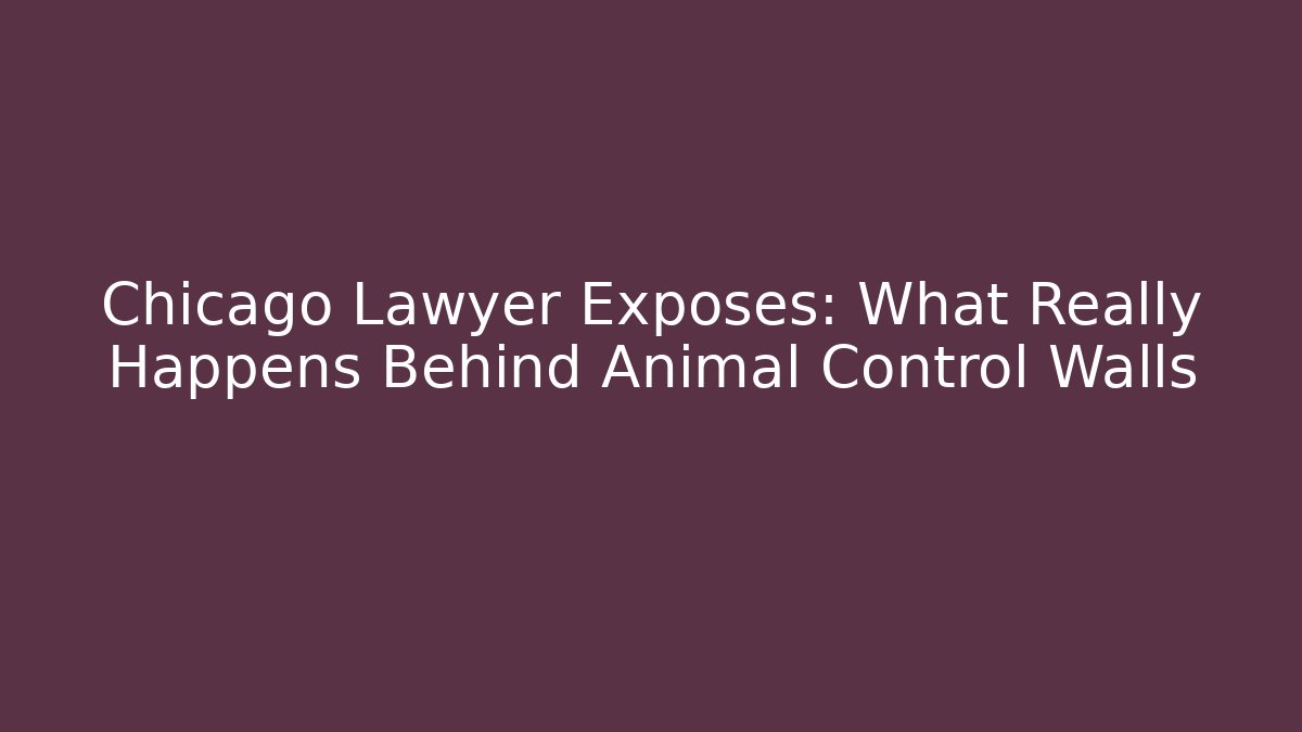 Chicago Lawyer Exposes: What Really Happens Behind Animal Control Walls