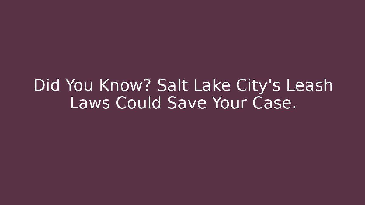 Did You Know? Salt Lake City's Leash Laws Could Save Your Case.