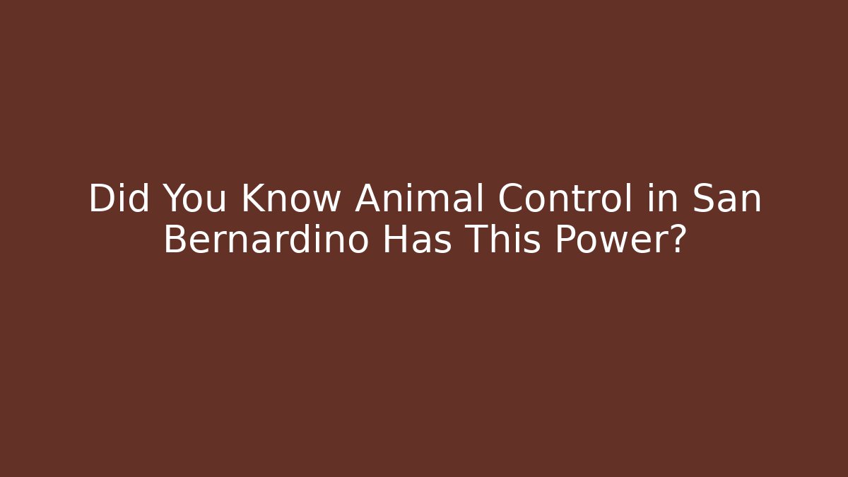 Did You Know Animal Control in San Bernardino Has This Power?