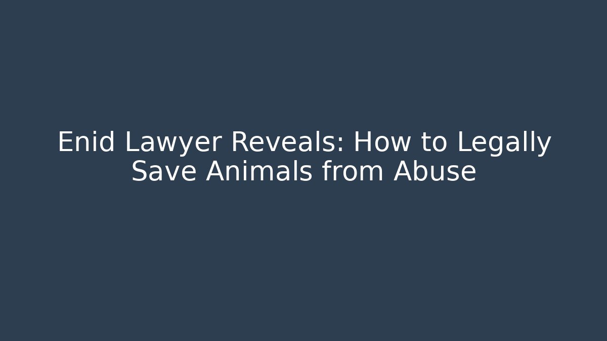 Enid Lawyer Reveals: How to Legally Save Animals from Abuse