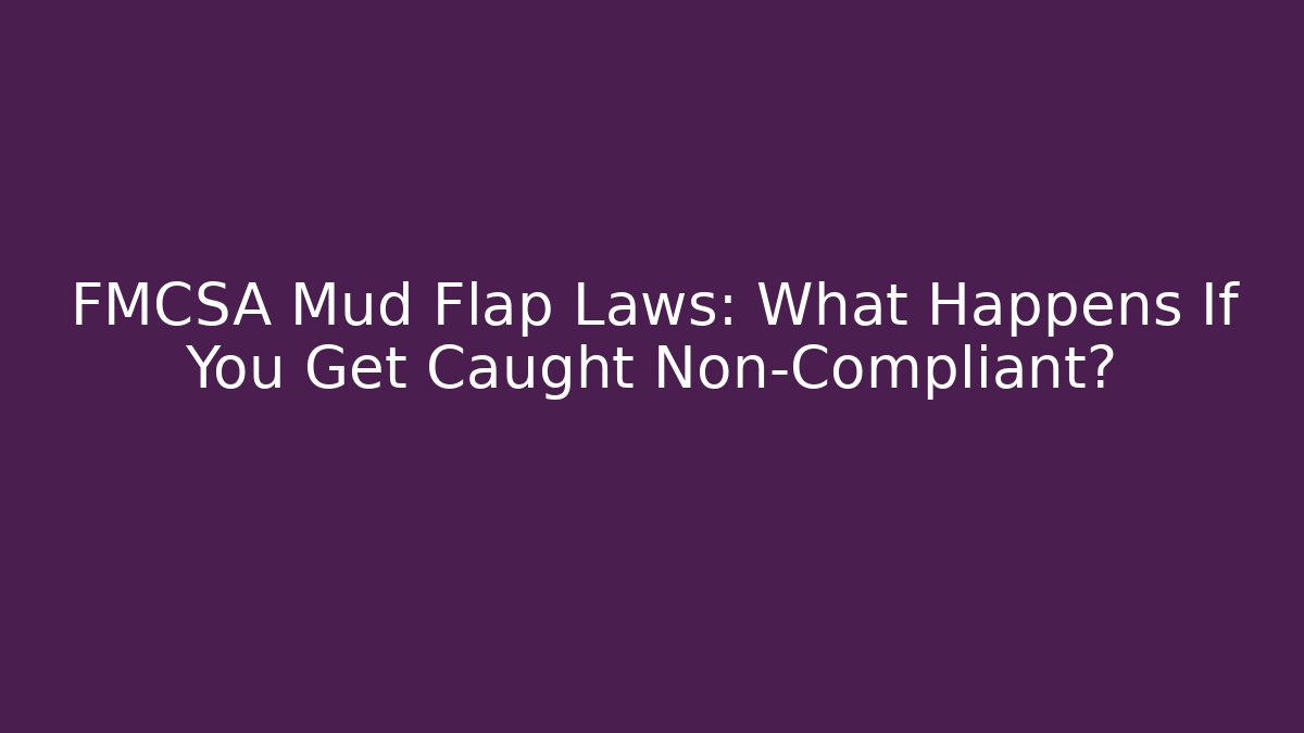 FMCSA Mud Flap Laws: What Happens If You Get Caught Non-Compliant?