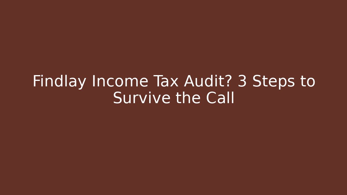 Findlay Income Tax Audit? 3 Steps to Survive the Call
