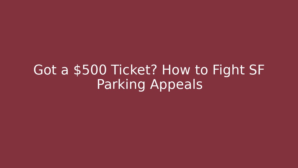 Got a $500 Ticket? How to Fight SF Parking Appeals