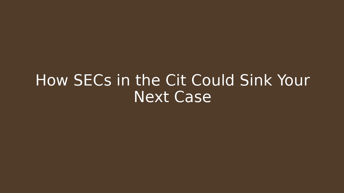 How SECs in the Cit Could Sink Your Next Case - Magmic