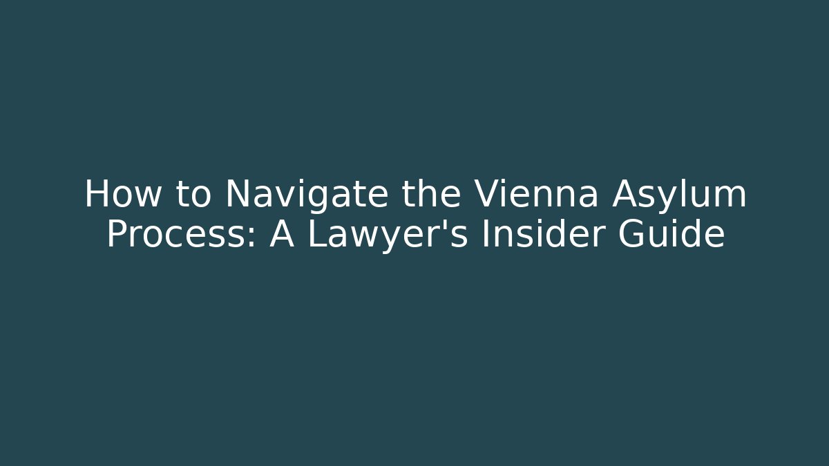 How to Navigate the Vienna Asylum Process: A Lawyer's Insider Guide