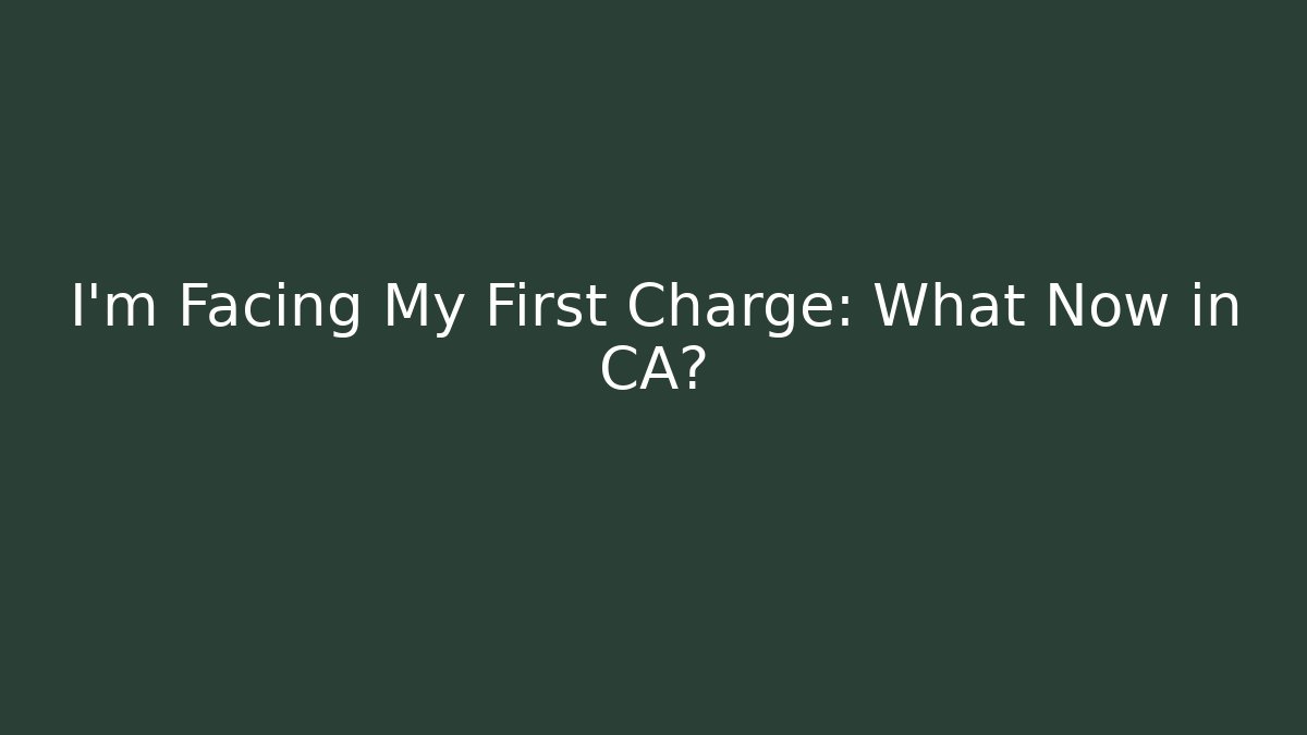 I'm Facing My First Charge: What Now in CA? - Magmic