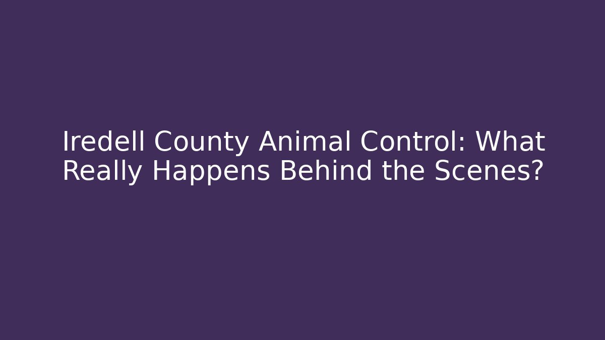 Iredell County Animal Control: What Really Happens Behind the Scenes?