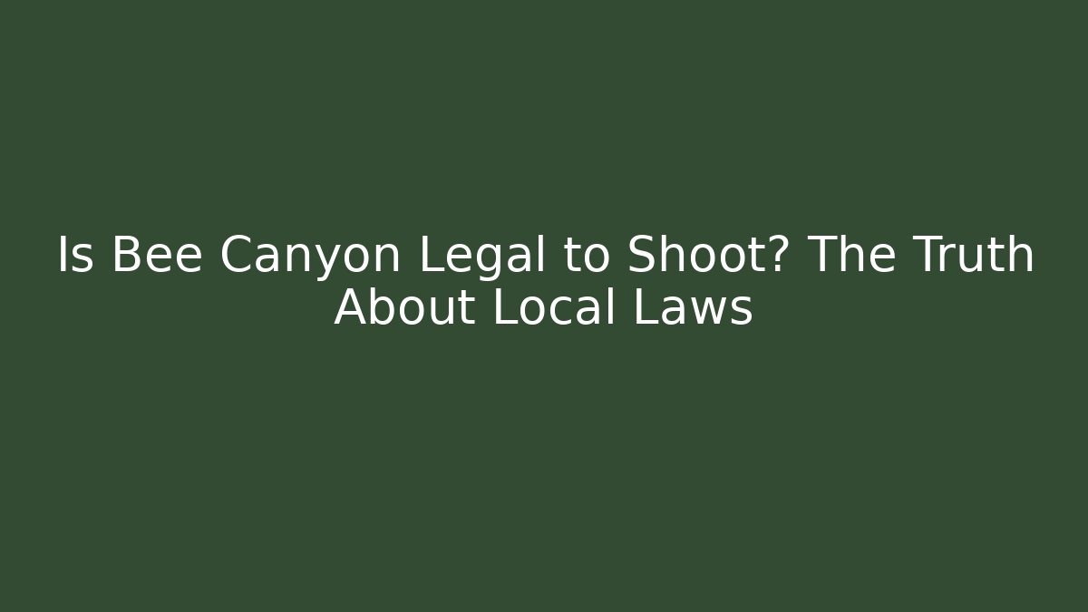 Is Bee Canyon Legal to Shoot? The Truth About Local Laws