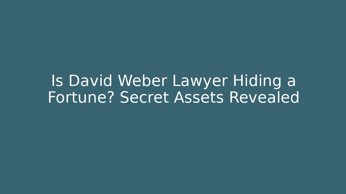 Is David Weber Lawyer Hiding a Fortune? Secret Assets Revealed