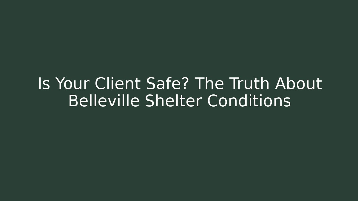 Is Your Client Safe? The Truth About Belleville Shelter Conditions