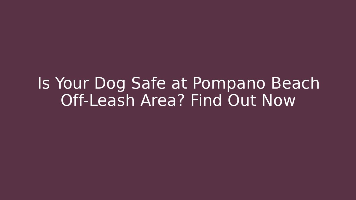 Is Your Dog Safe at Pompano Beach Off-Leash Area? Find Out Now