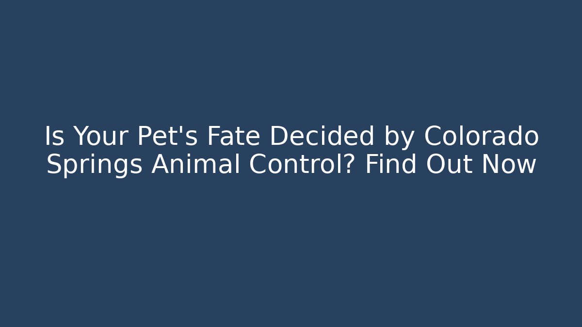 Is Your Pet's Fate Decided by Colorado Springs Animal Control? Find Out Now
