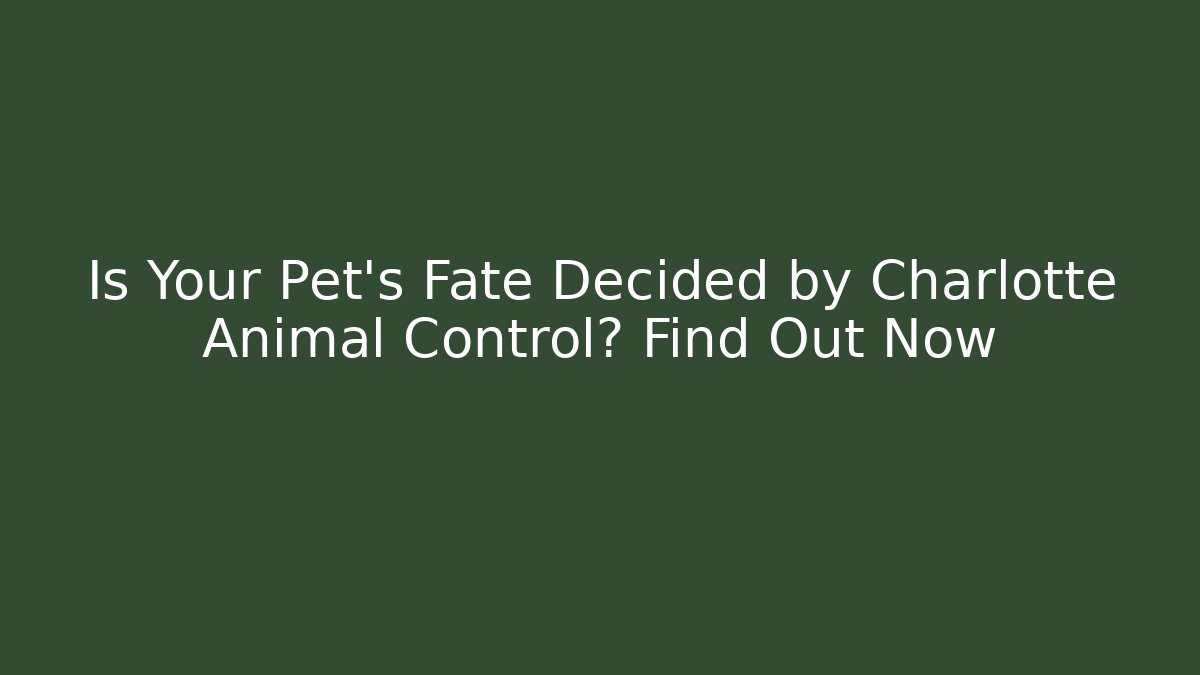 Is Your Pet’s Fate Decided by Charlotte Animal Control? Find Out Now