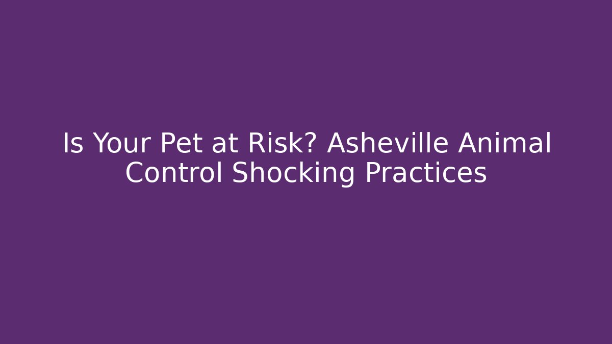 Is Your Pet at Risk? Asheville Animal Control Shocking Practices