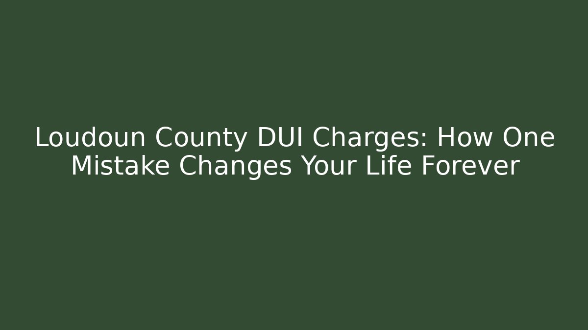 Loudoun County DUI Charges: How One Mistake Changes Your Life Forever - Magmic