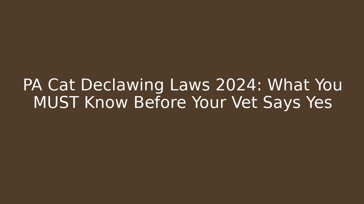 PA Cat Declawing Laws 2024: What You MUST Know Before Your Vet Says Yes