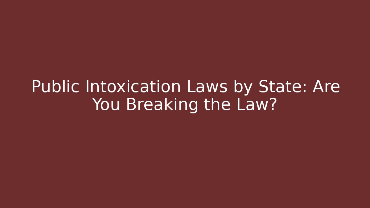 Public Intoxication Laws by State: Are You Breaking the Law?