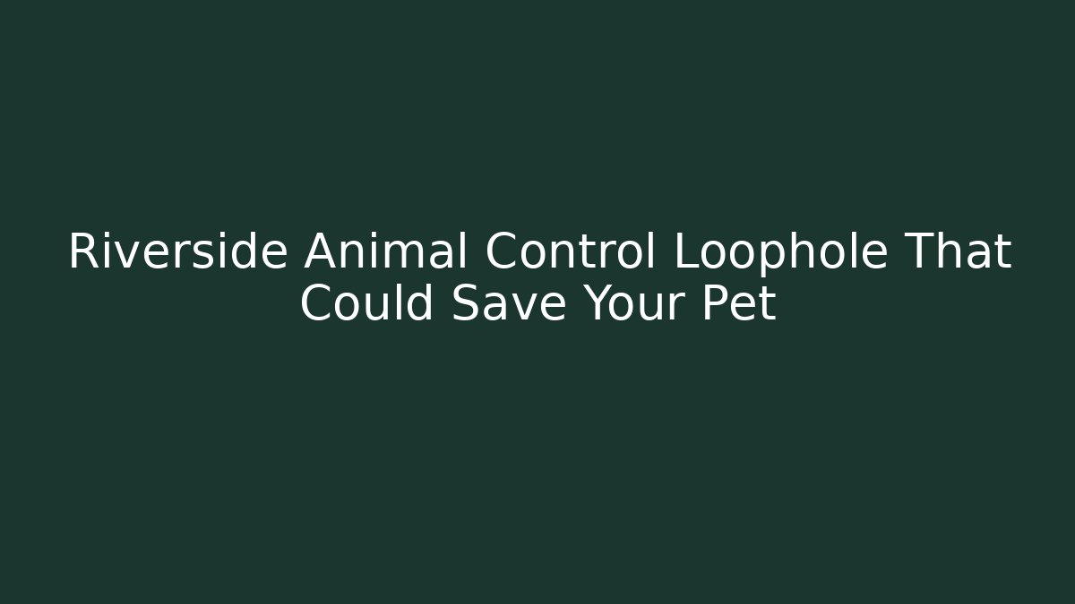 Riverside Animal Control Loophole That Could Save Your Pet