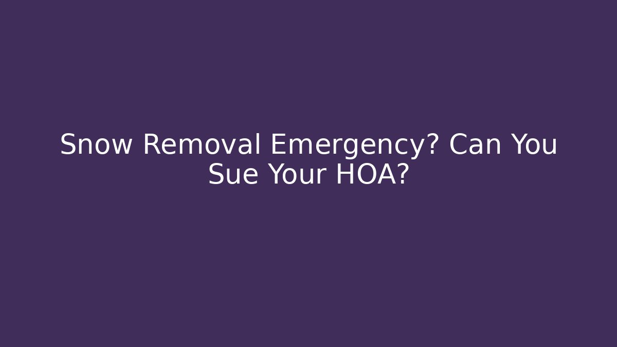 Snow Removal Emergency? Can You Sue Your HOA?