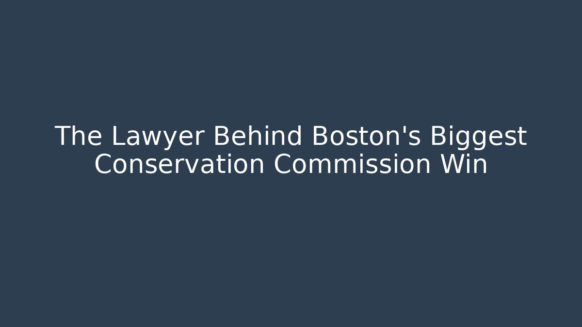 The Lawyer Behind Boston's Biggest Conservation Commission Win