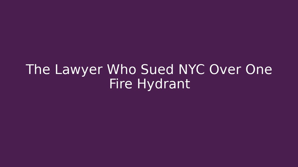 The Lawyer Who Sued NYC Over One Fire Hydrant