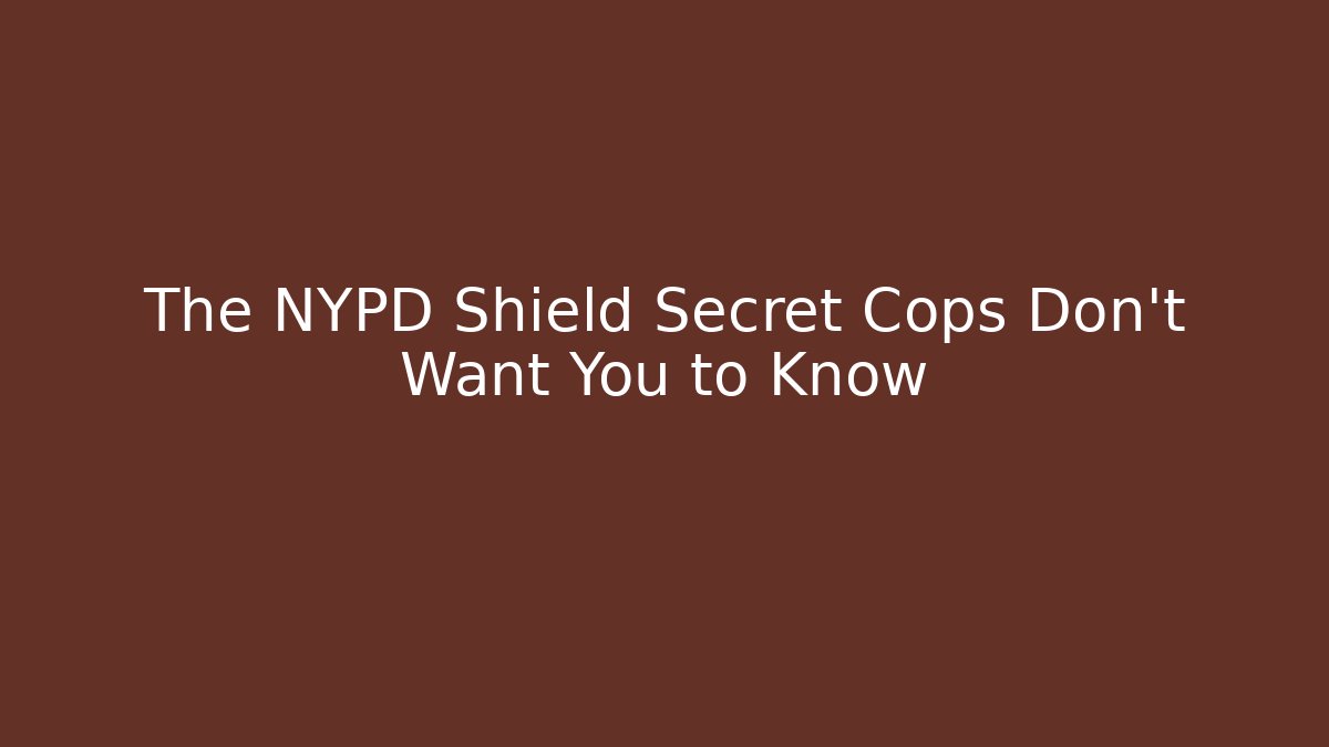 The NYPD Shield Secret Cops Don't Want You to Know
