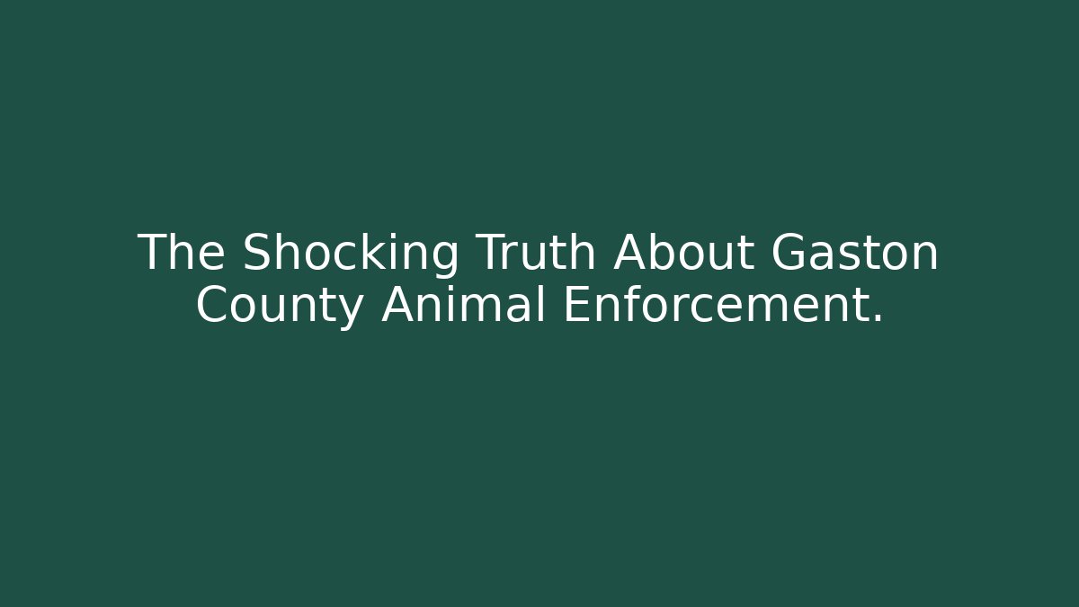 The Shocking Truth About Gaston County Animal Enforcement. - Magmic