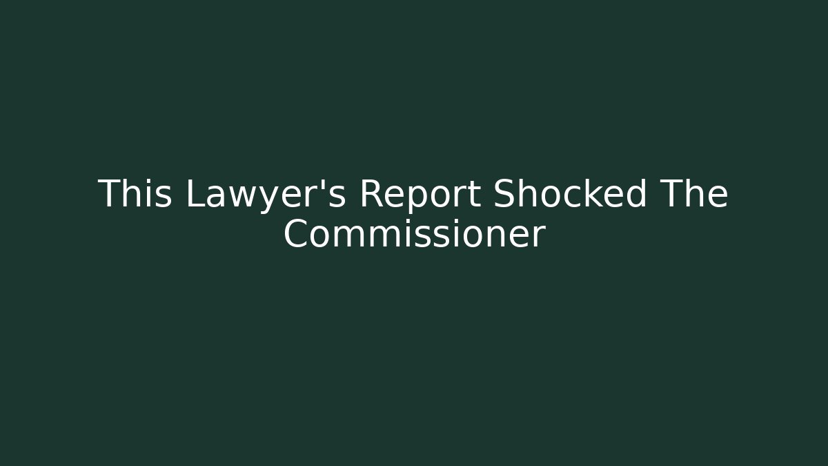 This Lawyer's Report Shocked The Commissioner - Magmic