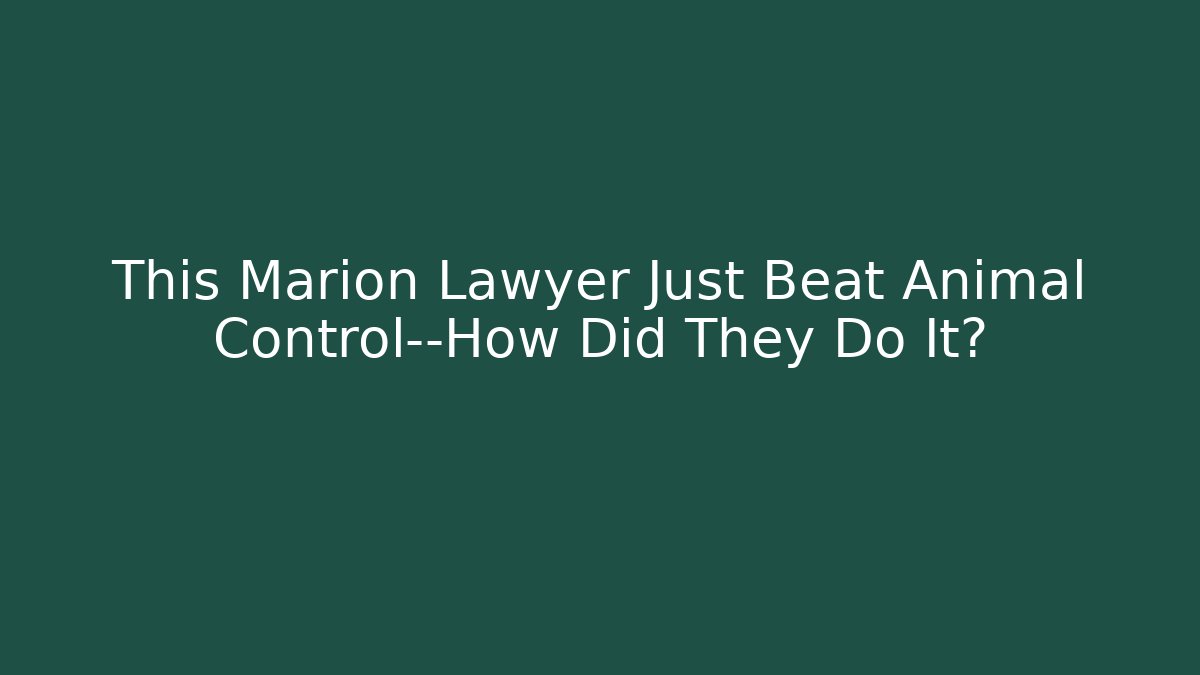 This Marion Lawyer Just Beat Animal Control—How Did They Do It?