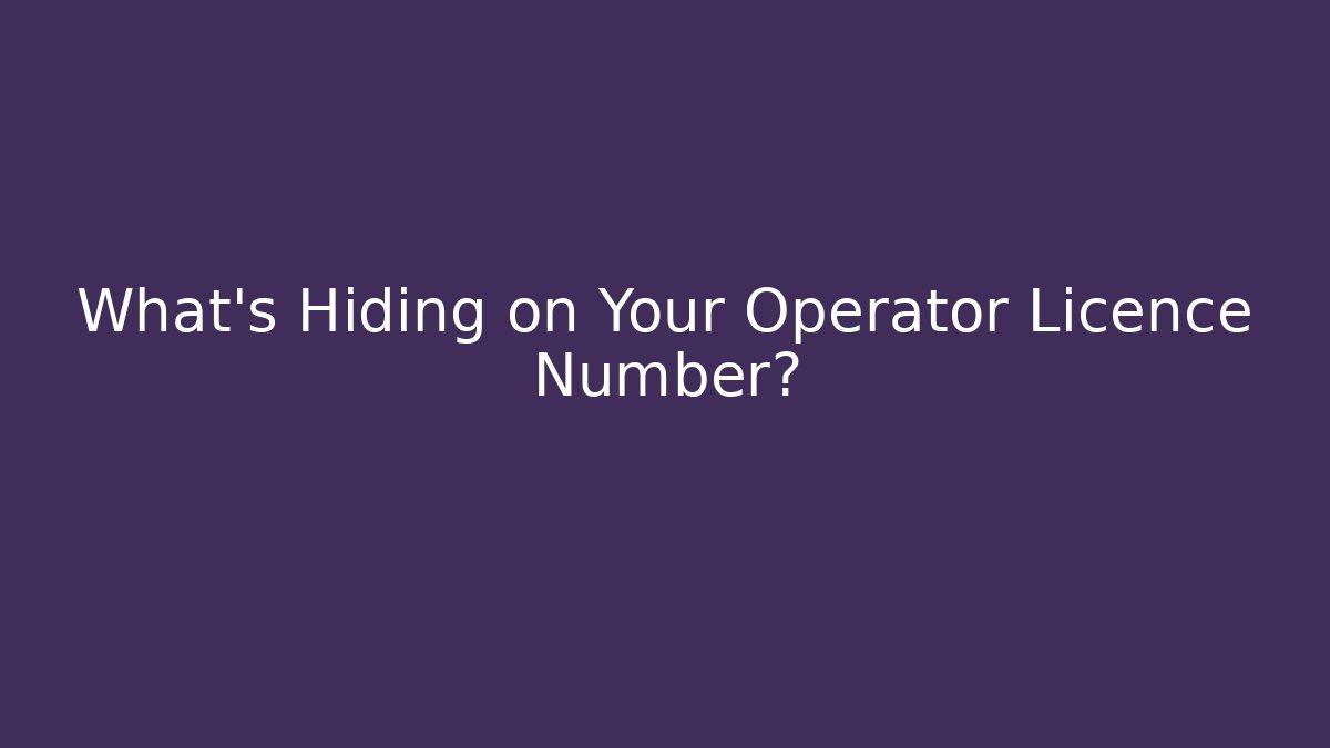 What's Hiding on Your Operator Licence Number?