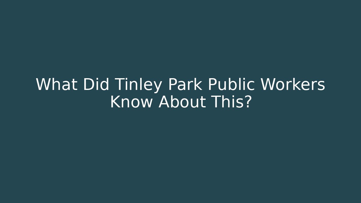 What Did Tinley Park Public Workers Know About This? - Magmic