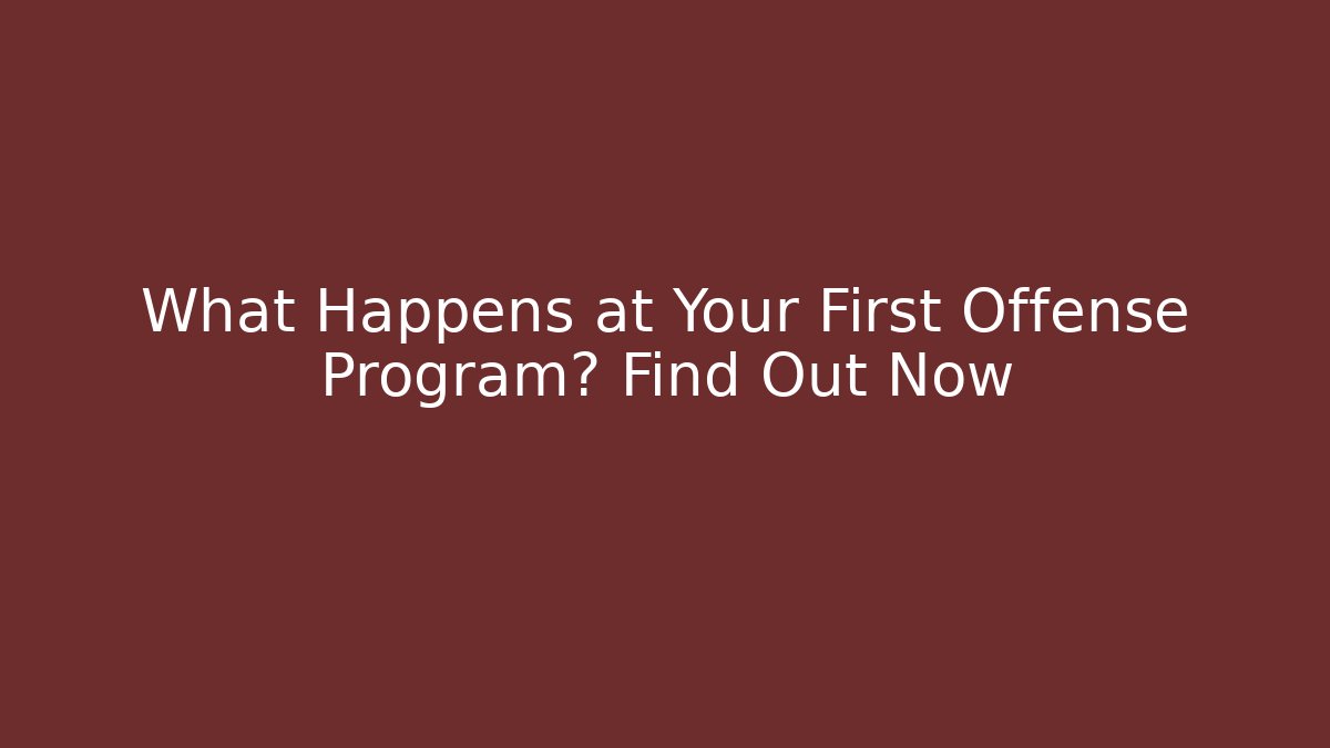 What Happens at Your First Offense Program? Find Out Now - Magmic