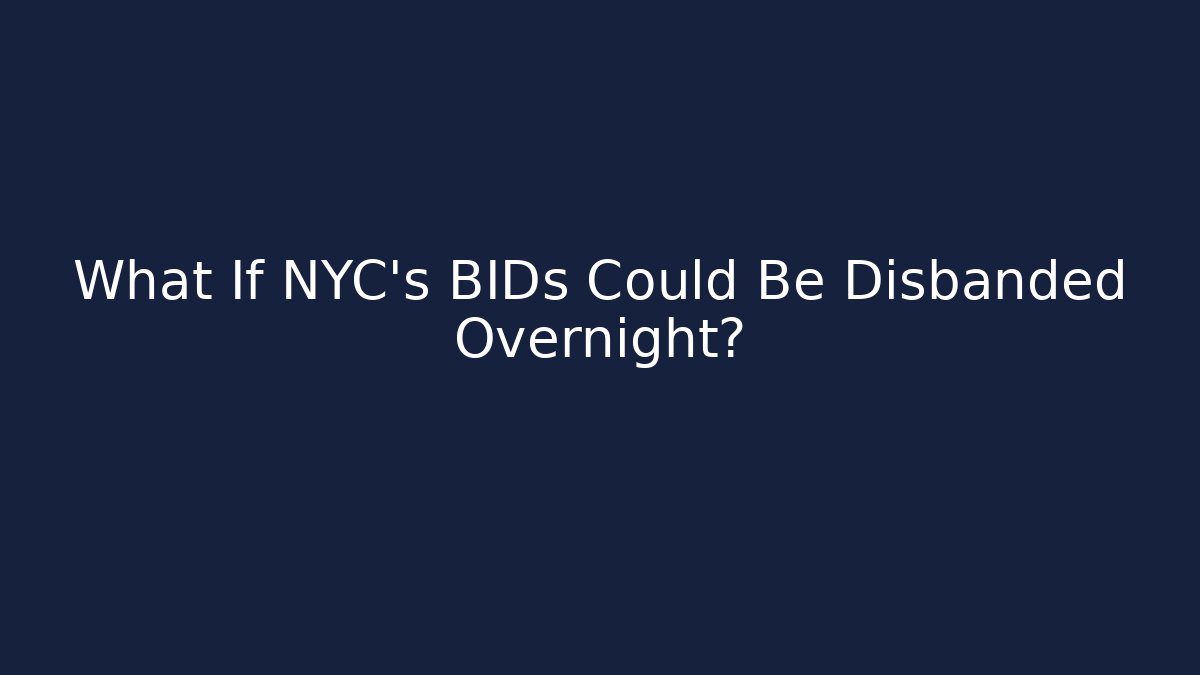 What If NYC's BIDs Could Be Disbanded Overnight? - Magmic