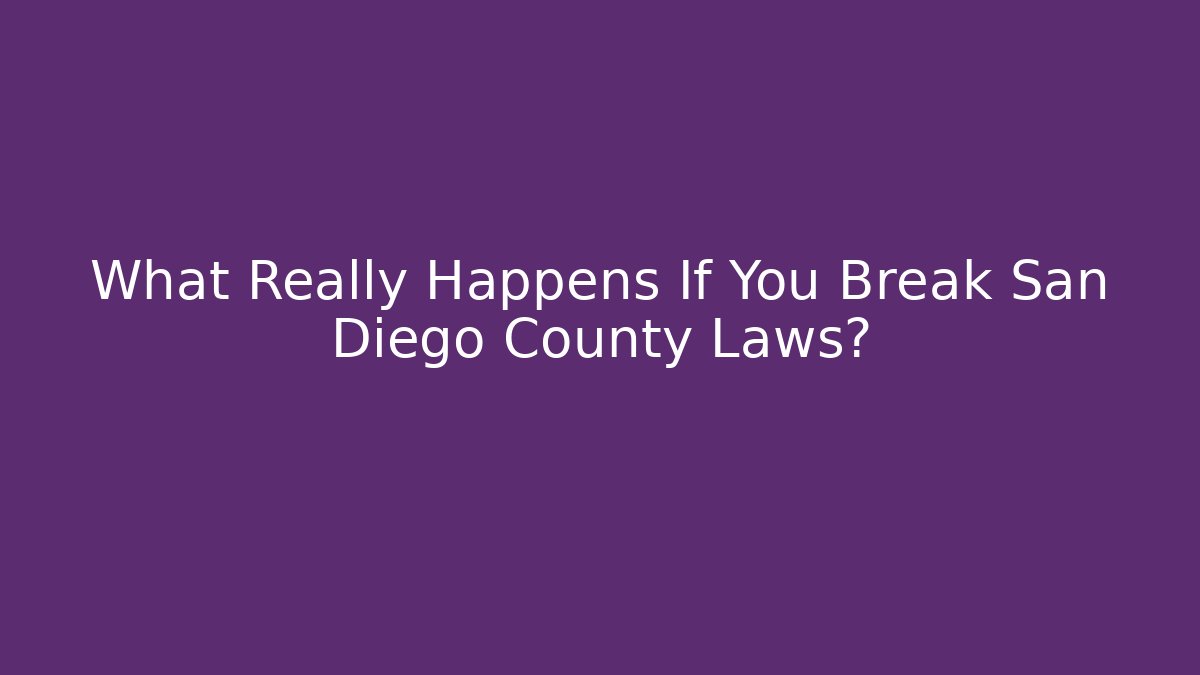 What Really Happens If You Break San Diego County Laws?