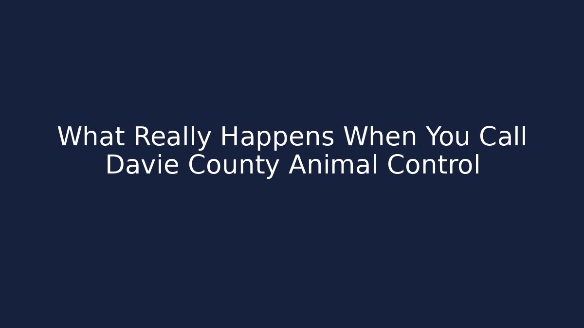 What Really Happens When You Call Davie County Animal Control - Magmic