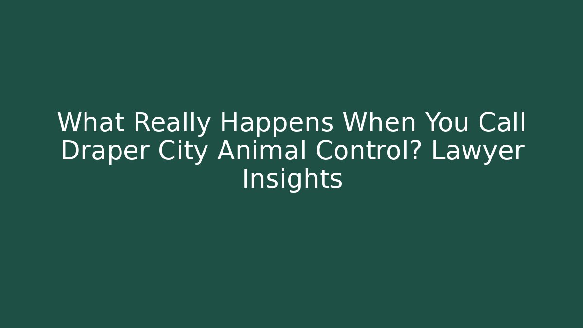 What Really Happens When You Call Draper City Animal Control? Lawyer Insights