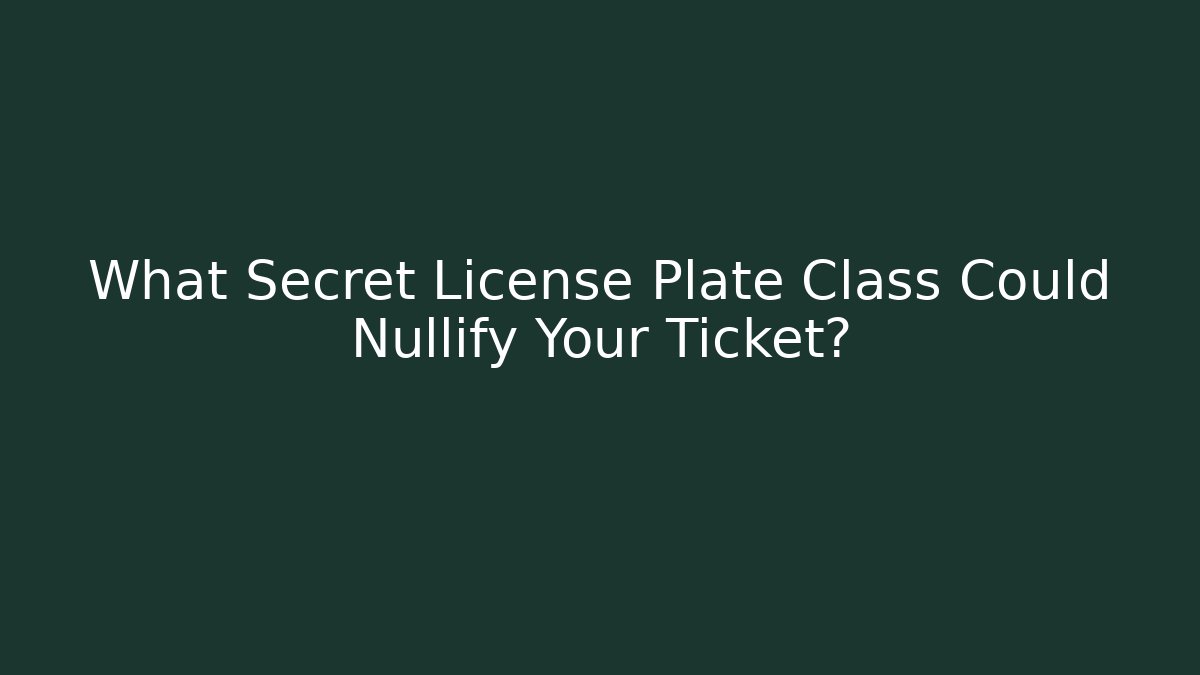 What Secret License Plate Class Could Nullify Your Ticket? - Magmic