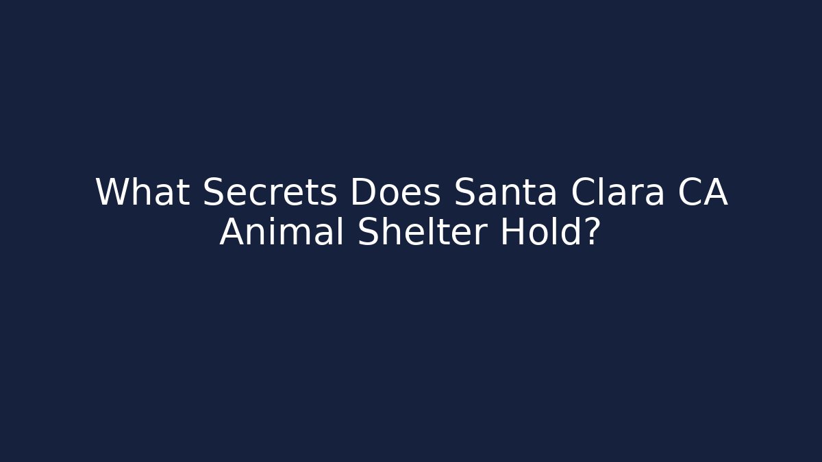 What Secrets Does Santa Clara CA Animal Shelter Hold?