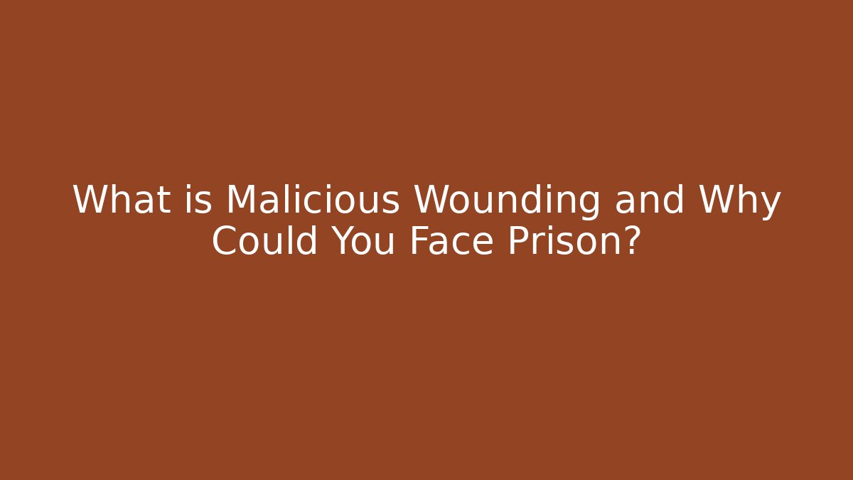 What is Malicious Wounding and Why Could You Face Prison?